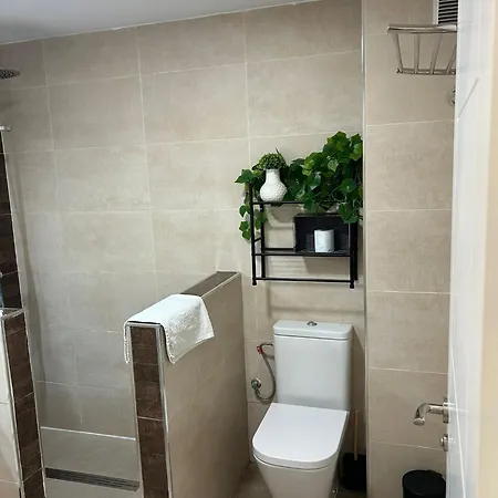 Vivienda Turistica Diseno En Patios De San Basilio Cordoba
